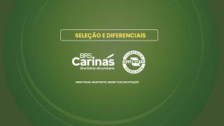 Miniatura do vídeo