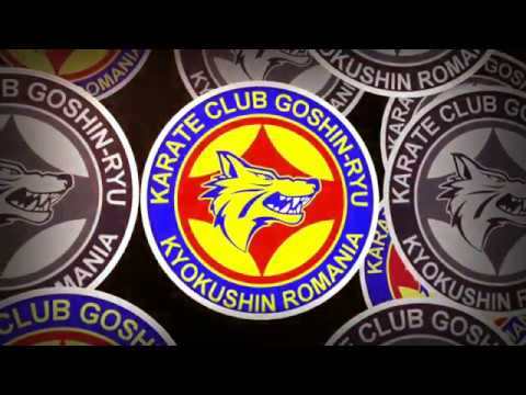 Matei Patrascu (Goshin-Ryu) - Radulescu Lucian (Nippon Tulcea)