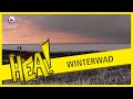 HEA: Wadlopen in een winterwonderland