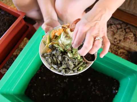 Worm Factory 360 worm composter directions and review from Canada part 5