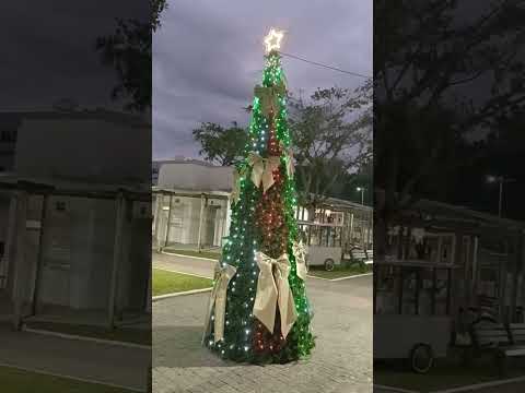 Natal Em Nova Trento/SC, Na Praça Central!