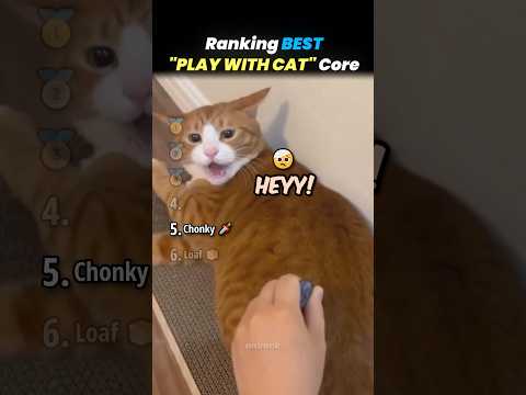 Ranking BEST “PLAY WITH CAT” Core Moments!! 🐱🪀