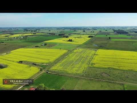Venta de Campito de 3 hectáreas, Pantanoso, Sauce, Canelones.  