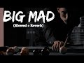 Big Mad (Slowed + Reverbed) -  Tarna | Byg Byrd