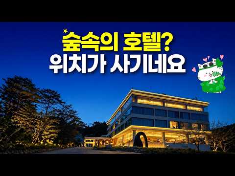 서울의 특별한 힐링 호텔: 북한산의 숨은 보석, 더숲 아카데미 하우스