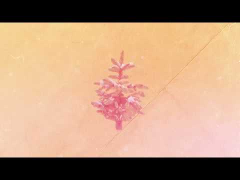 Matt Van - Conifer (Summer Was Fun Remix)