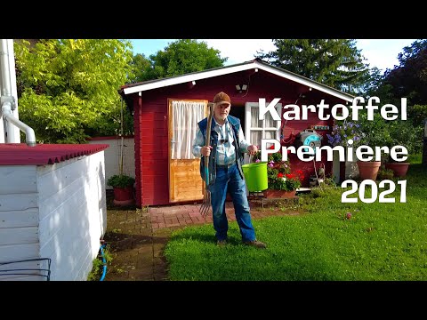 Kartoffel Premiere 2021 - Reibeplätzchen als Zugabe  Film 111