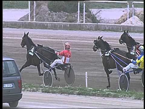 Trotto 28/02/2016 - 1° corsa