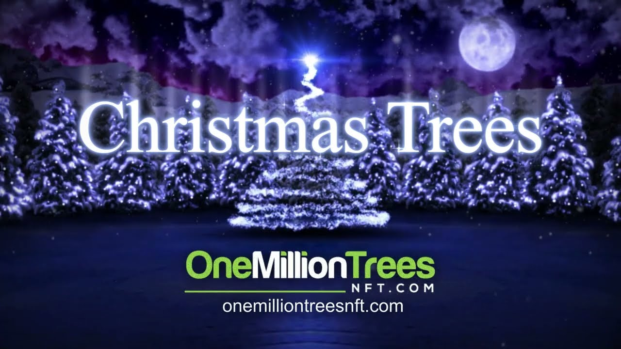 The Collection OpenSea 