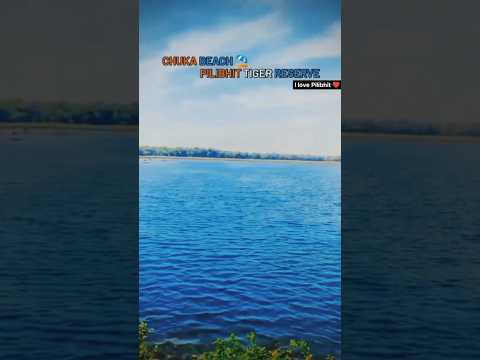 Chuka Beach Pilibhit Tiger Reserve🥰