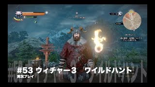 #53 The Witcher3 Game Play