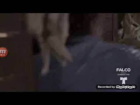 El Señor De Los Cielos 6 - Capitulo 53  2/6