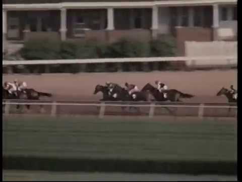 Classic story of legends Round Table, Northern Dancer