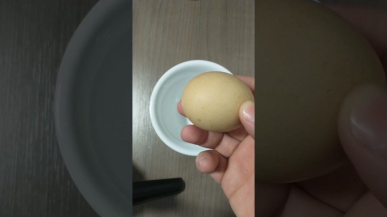 Camadas do Planeta Terra - Comparação com o ovo