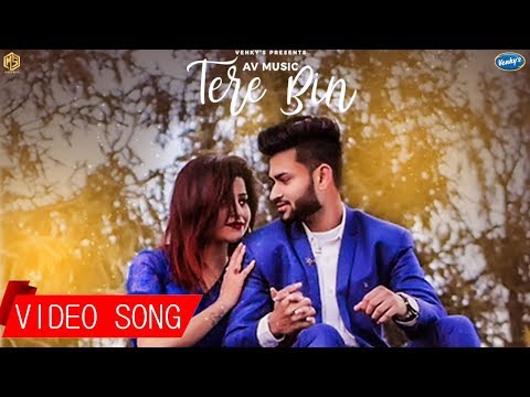 Poster tere bin lyrics – tarik khan