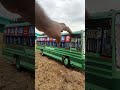 Miniature Tnstc Dhana Miniatures