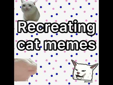 Recreating cat memes!