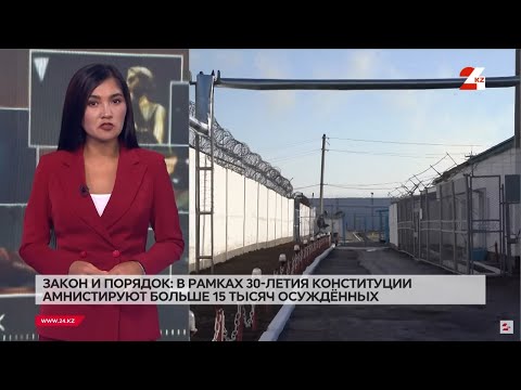 Юбилей Конституции – свобода для 15 тысяч: как работает амнистия? | Закон и порядок