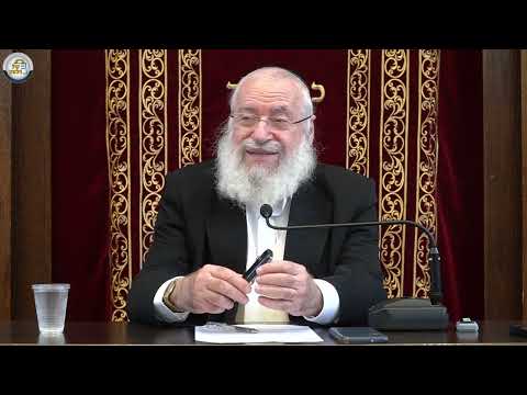 Maaris Ayin and Chashda | Weekly Shiur by Rav Asher Weiss Shlit"a (5785)