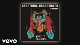 Hiatus Kaiyote - Breathing Underwater (DJ Spinna Galactic Soul Remix) (Audio)