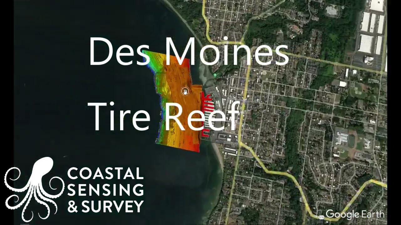 Des Moines Tire Reef
