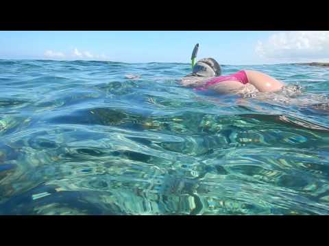 Snorkeling at the coral reef in Cayo Guillermo - Cuba 2015