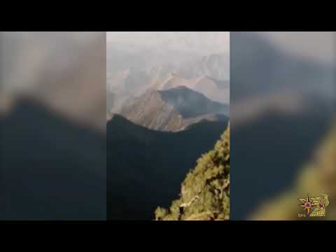 Հրդեհ «Արևիկ» ազգային պարկի տարածքում