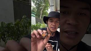 Download lagu Modif knalpot motor beat dengan kaleng bekas biar suara keras #knalpotracing #modified #shorts mp3