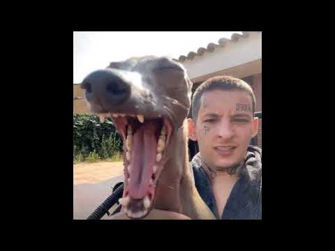 KIZARU X BIG BABY TAPE X 6IX9INE Type Beat 2023