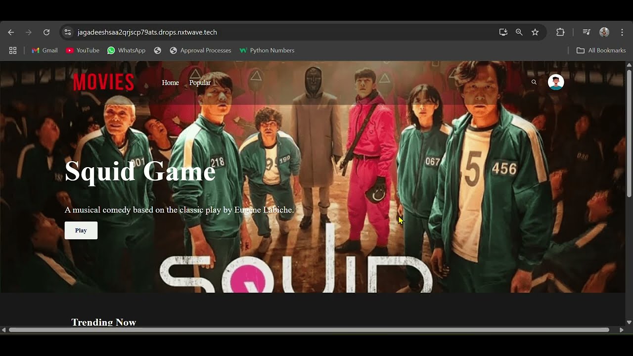 Netflix Clone Mini Project