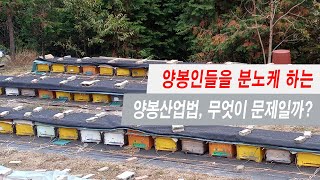 양봉인들을 분노하게 하는 양봉산업법의 시행, 무엇이 문제일까?