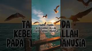 Download lagu Tanda-tanda kebesaran Allah pada tubuh manusia #katakataislami #shortvideo #maherzain #shortsfeed mp3