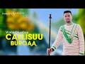 Wabii Dhaabaa Callisuu Burqaa Ethiopian Oromo Music 2020 Official Video