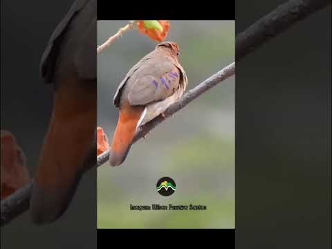 Botumirim MG, Norte de Minas gerais 