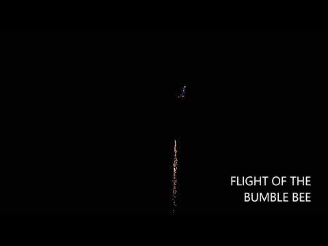 Flight Of The Bumble Bee (Low Noise)