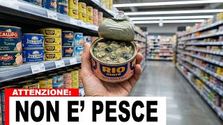 5 Marche di TONNO che Devi EVITARE