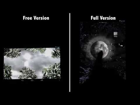 Winter Snowfall Free Wallpaper Video