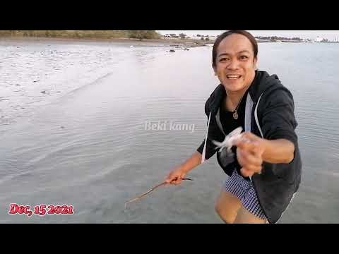 NAMULOT NG CRABLETS AT SUNDOT KULANGOT (Sea Shell)