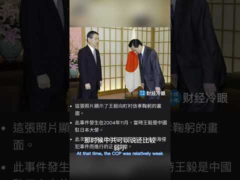 两条老战狗向日本道歉了！