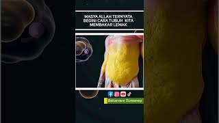 Download lagu Masyaallah, beginilah ternyata cara tubuh membakar lemak #sehat #sehatalami #sehatbugarluarbiasa mp3