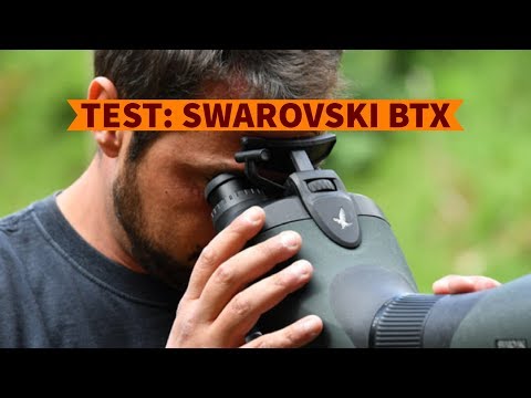 Test. Telescopio Swarovski BTX con due oculari