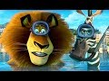DreamWorks Madagascar em Português | Alex e Marty Melhores Momentos - Madagascar | Desenhos Animados