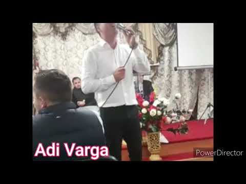 Chiar dacă vântu-a vrut în zbor în turme să ne împartă- Adi Varga