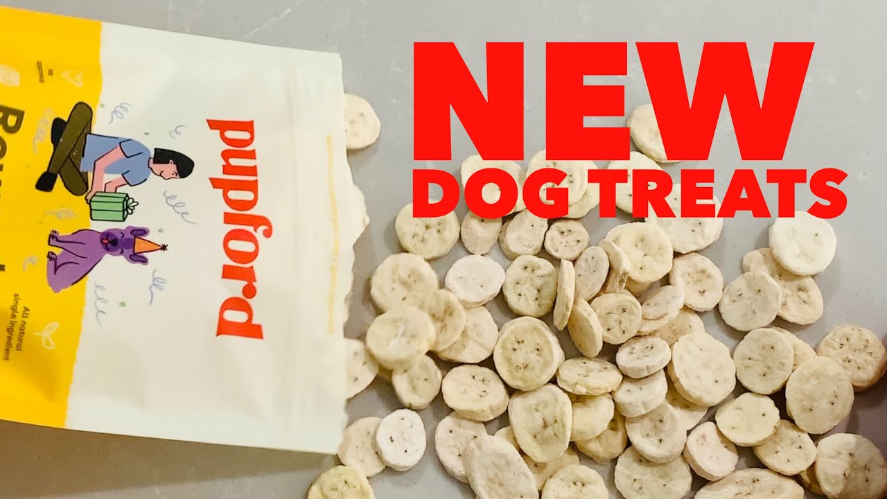 Freeze Dried Bananas for Dogs Can They Safely Enjoy This Fruit