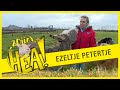 HEA! Ezeltje Petertje