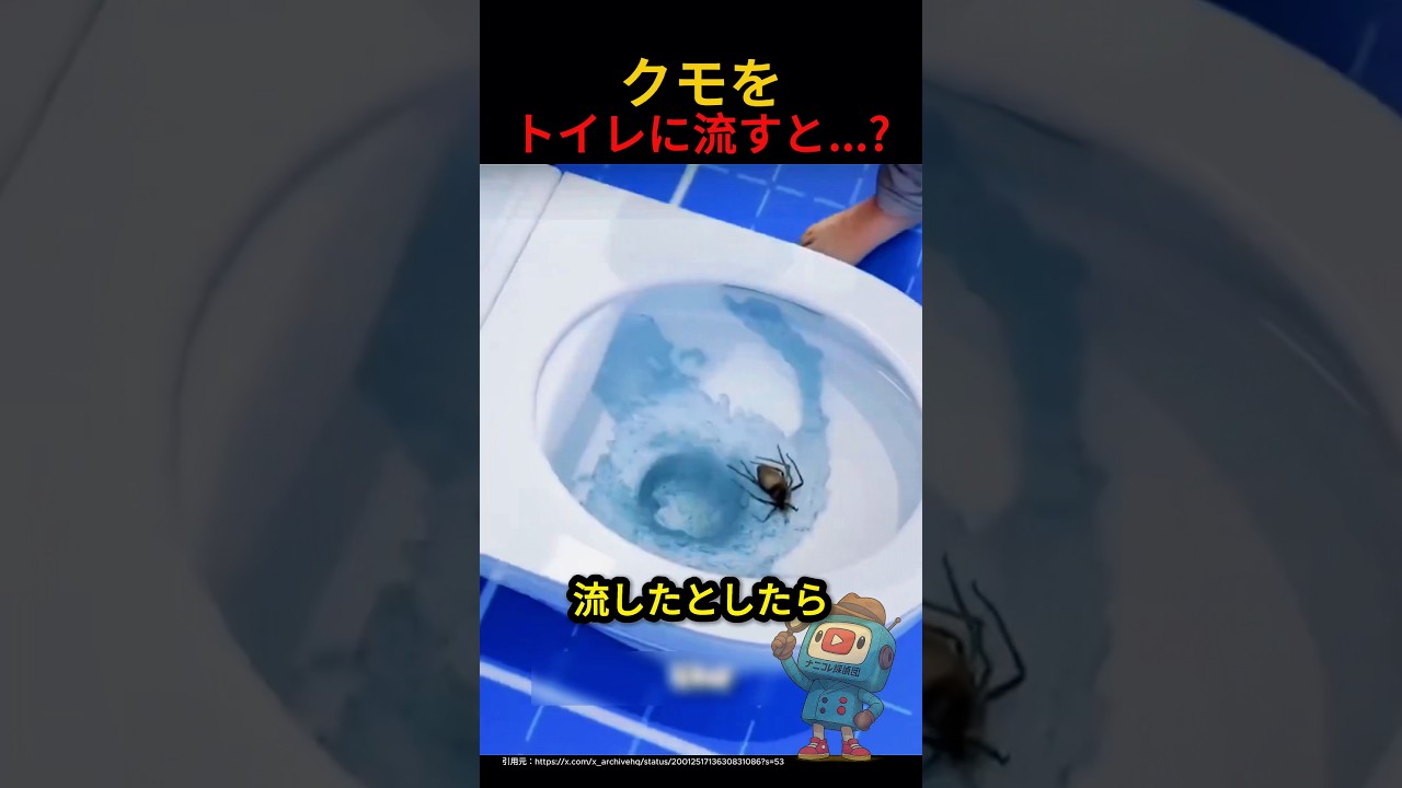 クモをトイレに流してはいけない理由
