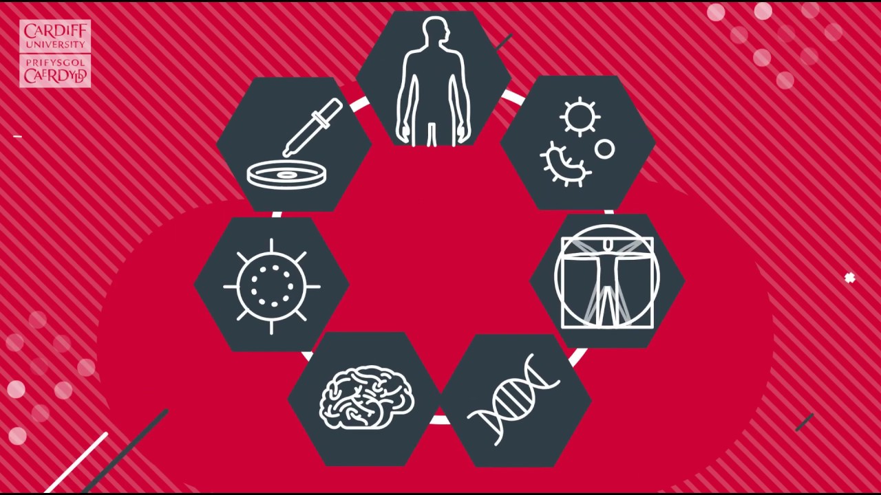 Why study Biomedical Science?