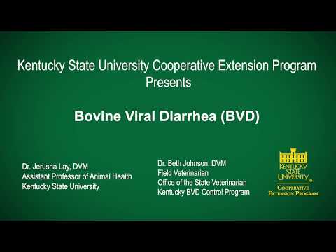 , title : 'Bovine Viral Diarrhea BVD- May 2020 4th Wednesday Workshop'