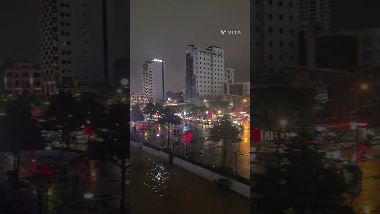 다낭 용다리 25년 11월 #베트남 #다낭 #용다리