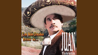 Arboles de la Barranca